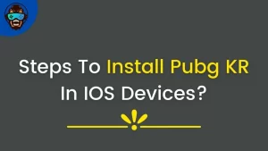 Read more about the article How To Install Pubg KR (1.8) In IOS Devices?