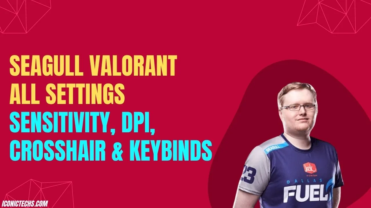 You are currently viewing Seagull Valorant All Settings, Sensitivity, DPI, Crosshair & Keybinds